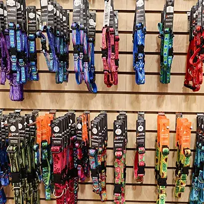 til-georgetown-01 A variety of dog collars for sale at Tilley's Pet Supplies, a healthy pet food store in Georgetown DC.