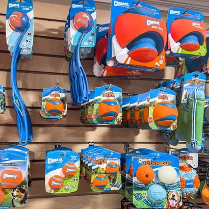 til-georgetown-02 A shelf stocked with Chuckit-branded dog toys inside Tilley's Pet Supplies, an organic pet store Washington DC.
